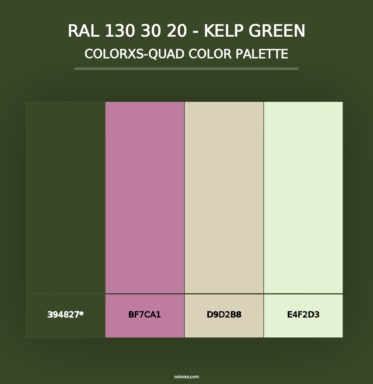 RAL 130 30 20 - Kelp Green - Colorxs Quad Palette