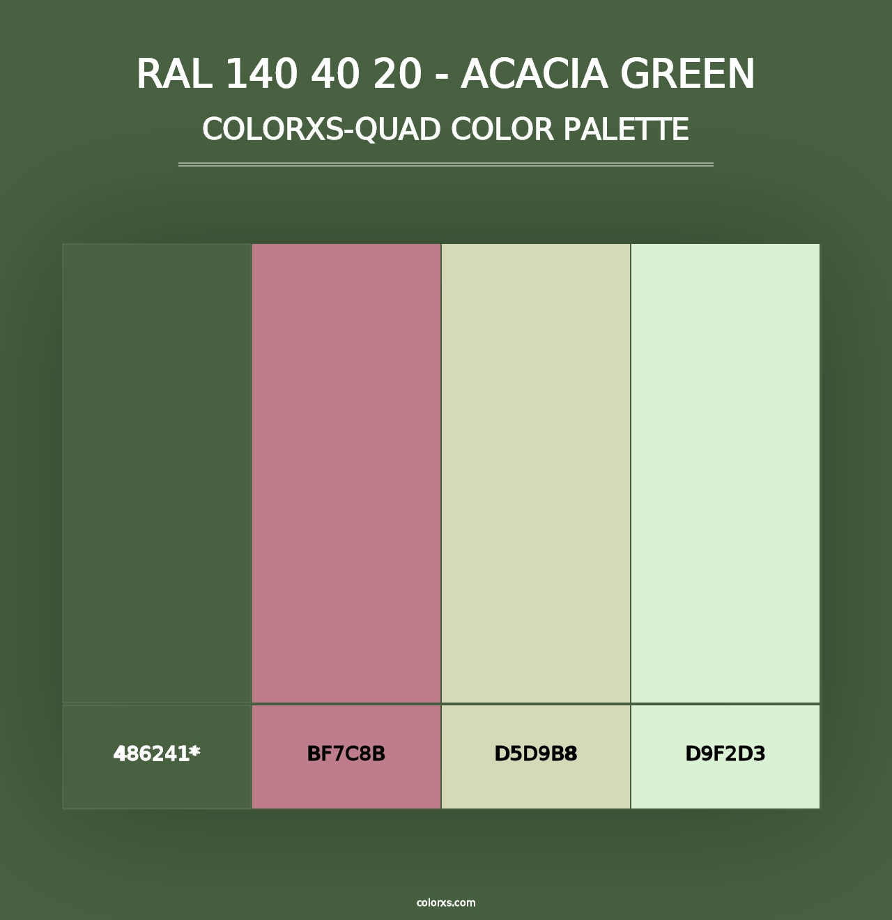 RAL 140 40 20 - Acacia Green - Colorxs Quad Palette