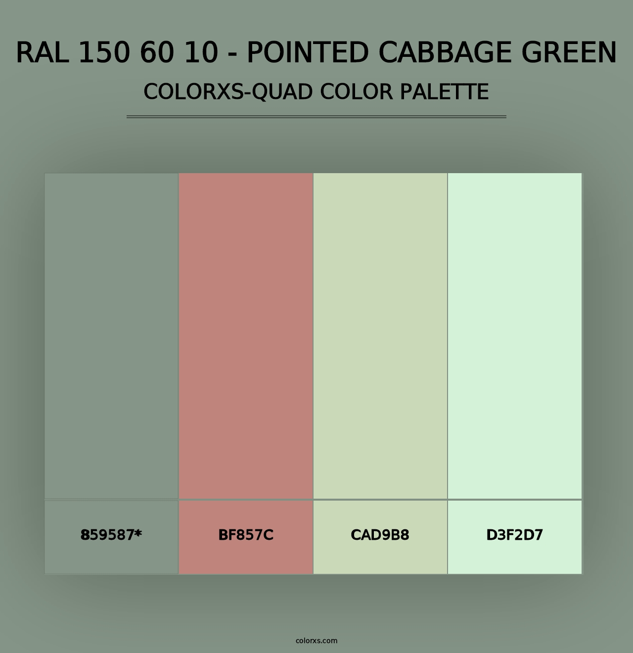 RAL 150 60 10 - Pointed Cabbage Green - Colorxs Quad Palette