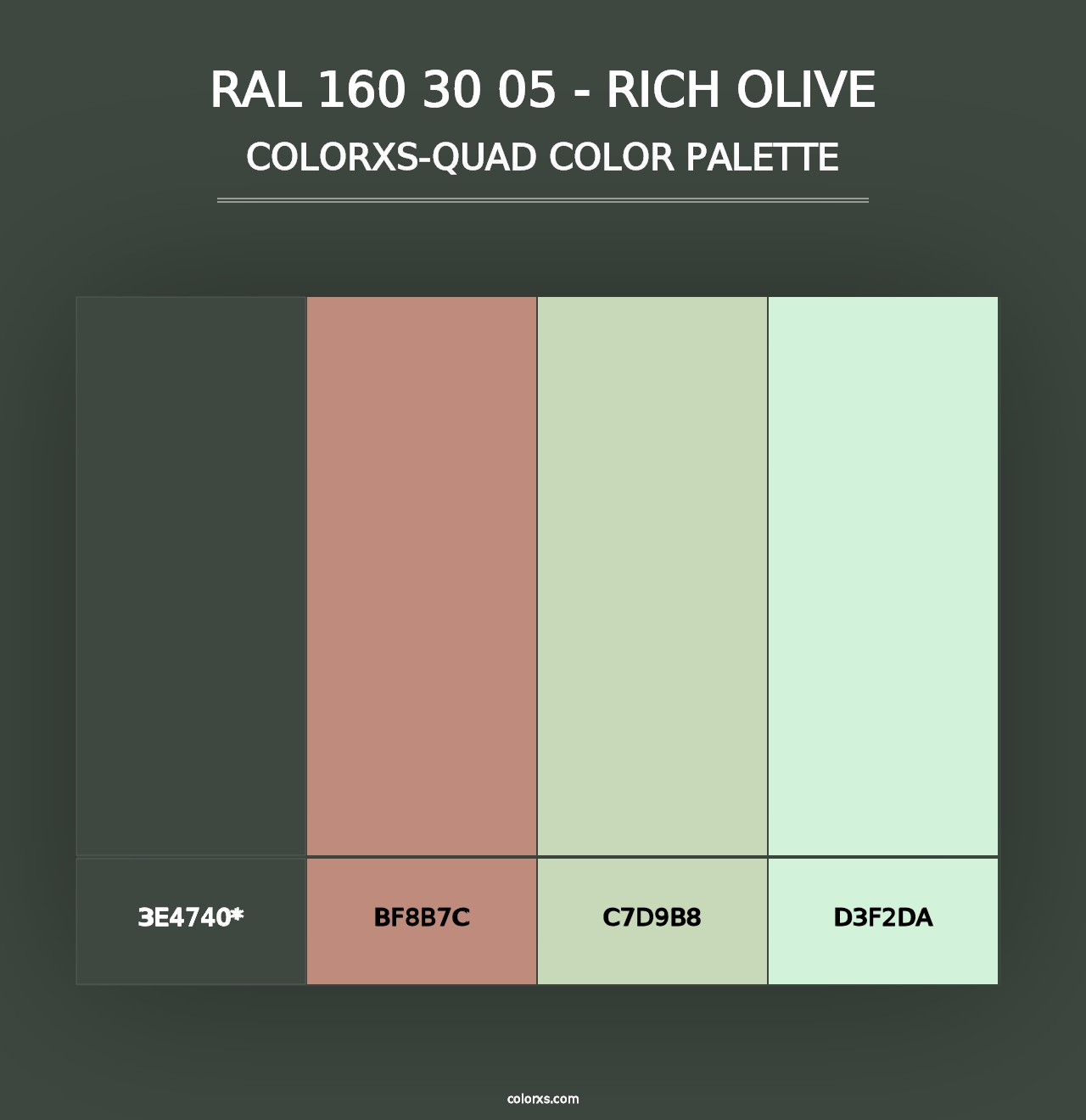 RAL 160 30 05 - Rich Olive - Colorxs Quad Palette