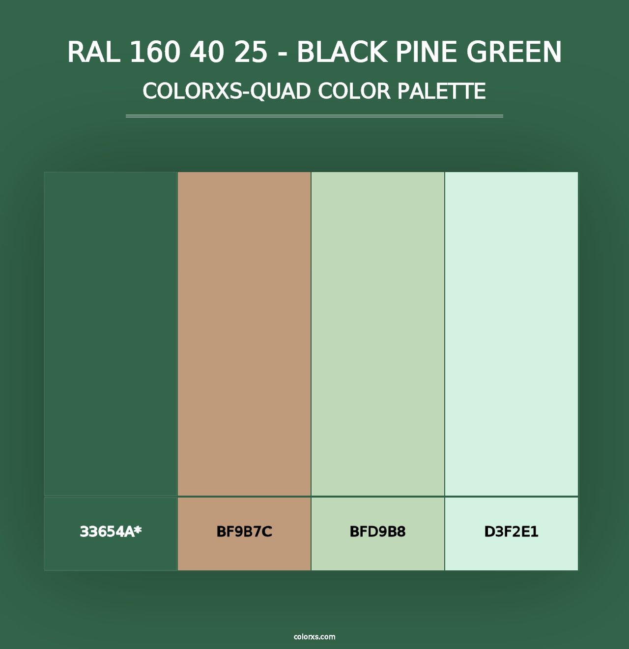 RAL 160 40 25 - Black Pine Green - Colorxs Quad Palette