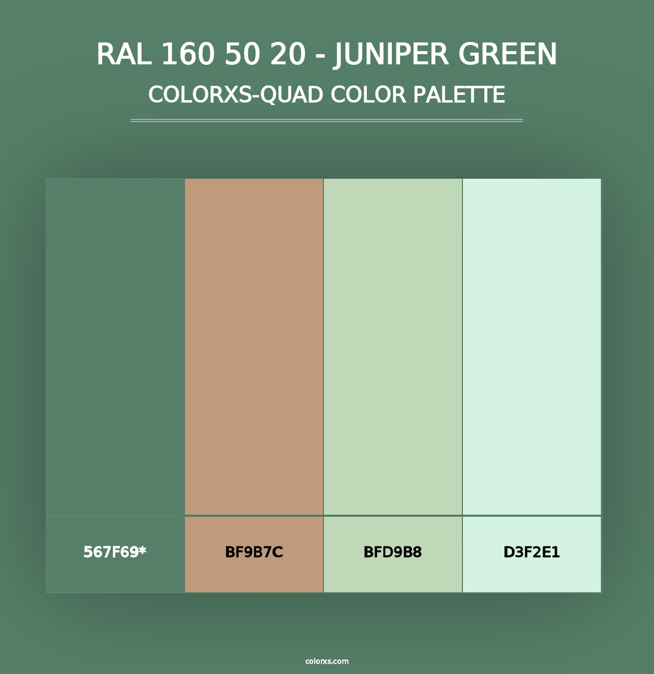 RAL 160 50 20 - Juniper Green - Colorxs Quad Palette