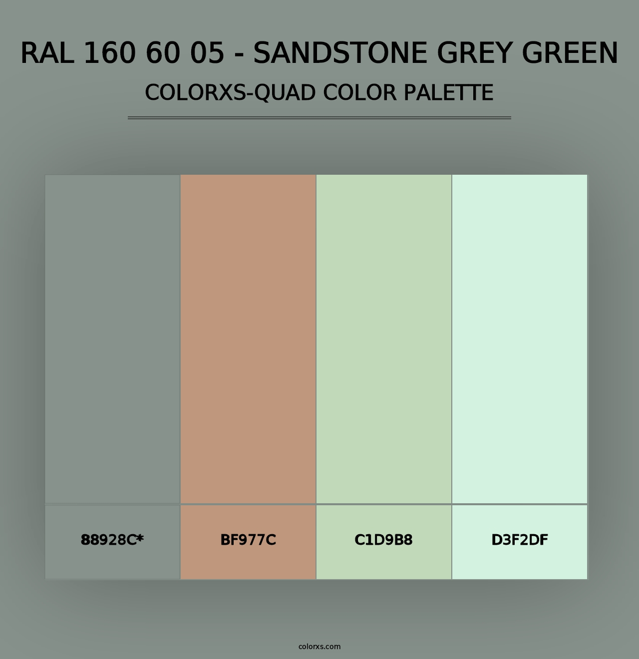 RAL 160 60 05 - Sandstone Grey Green - Colorxs Quad Palette