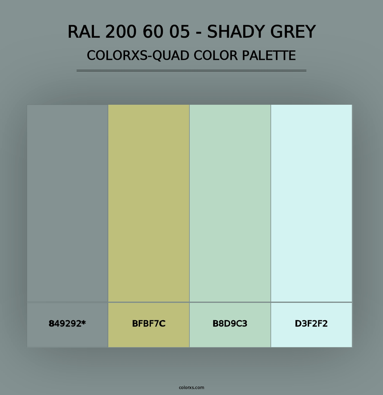 RAL 200 60 05 - Shady Grey - Colorxs Quad Palette