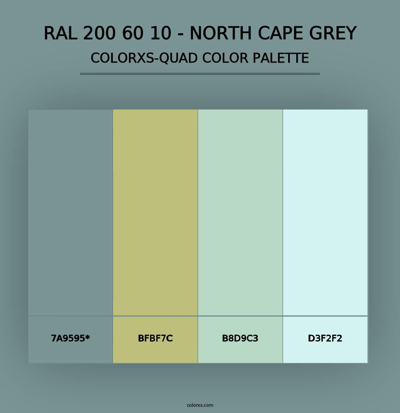 RAL 200 60 10 - North Cape Grey - Colorxs Quad Palette