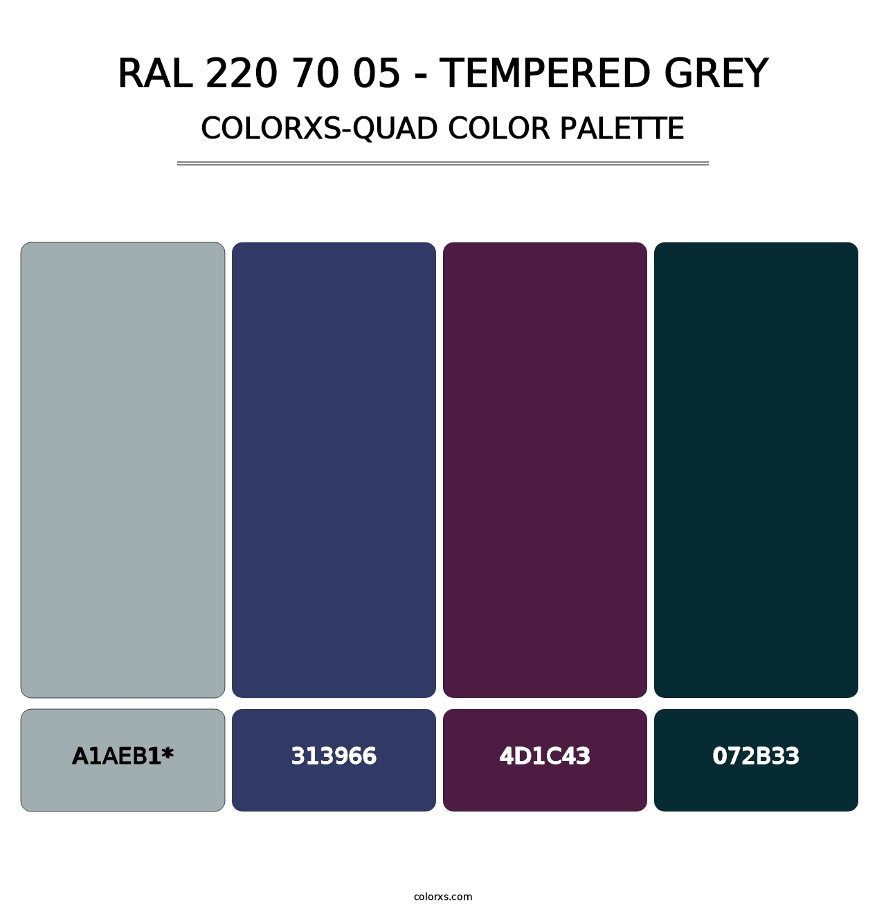 RAL 220 70 05 - Tempered Grey - Colorxs Quad Palette