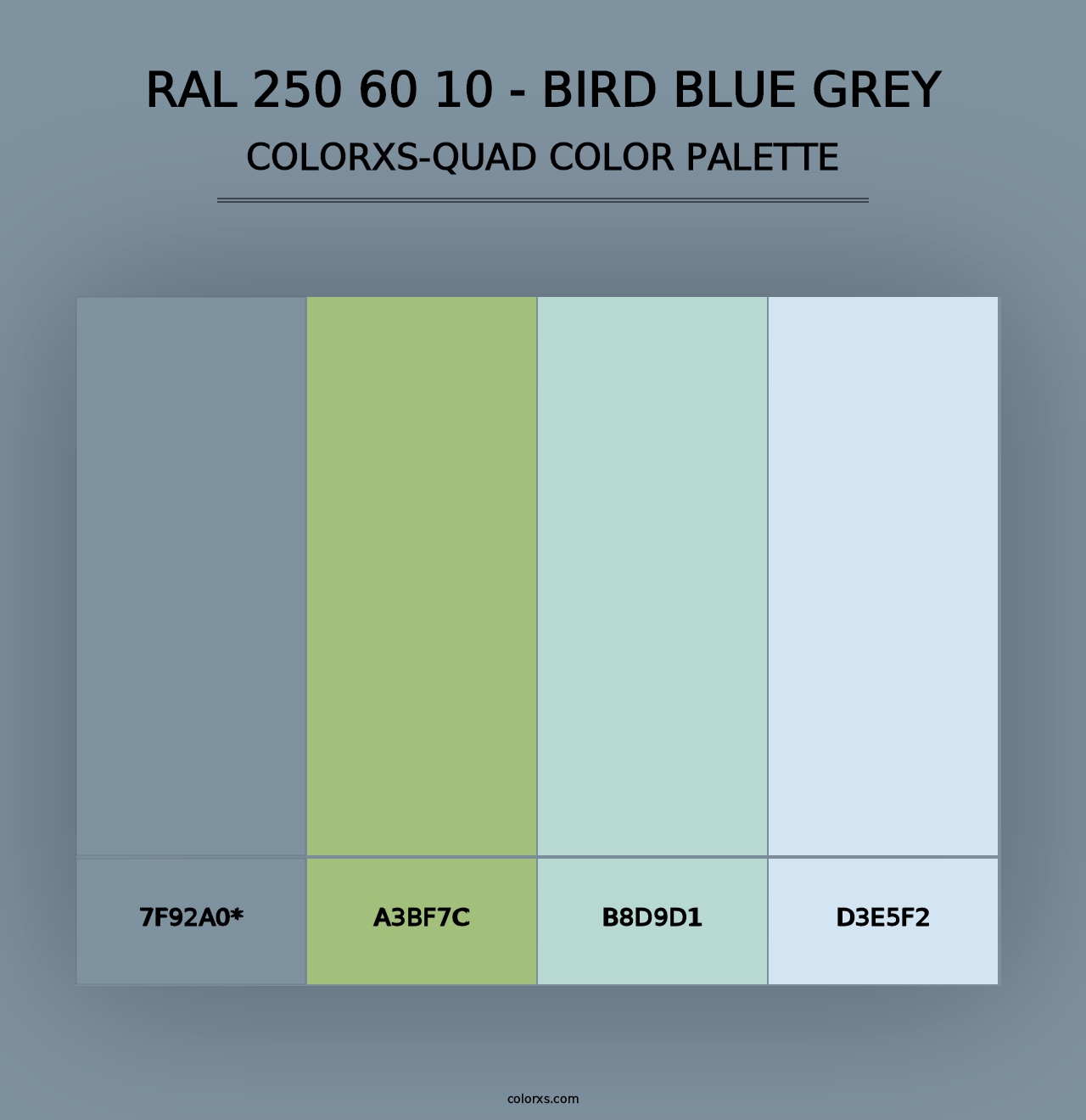 RAL 250 60 10 - Bird Blue Grey - Colorxs Quad Palette