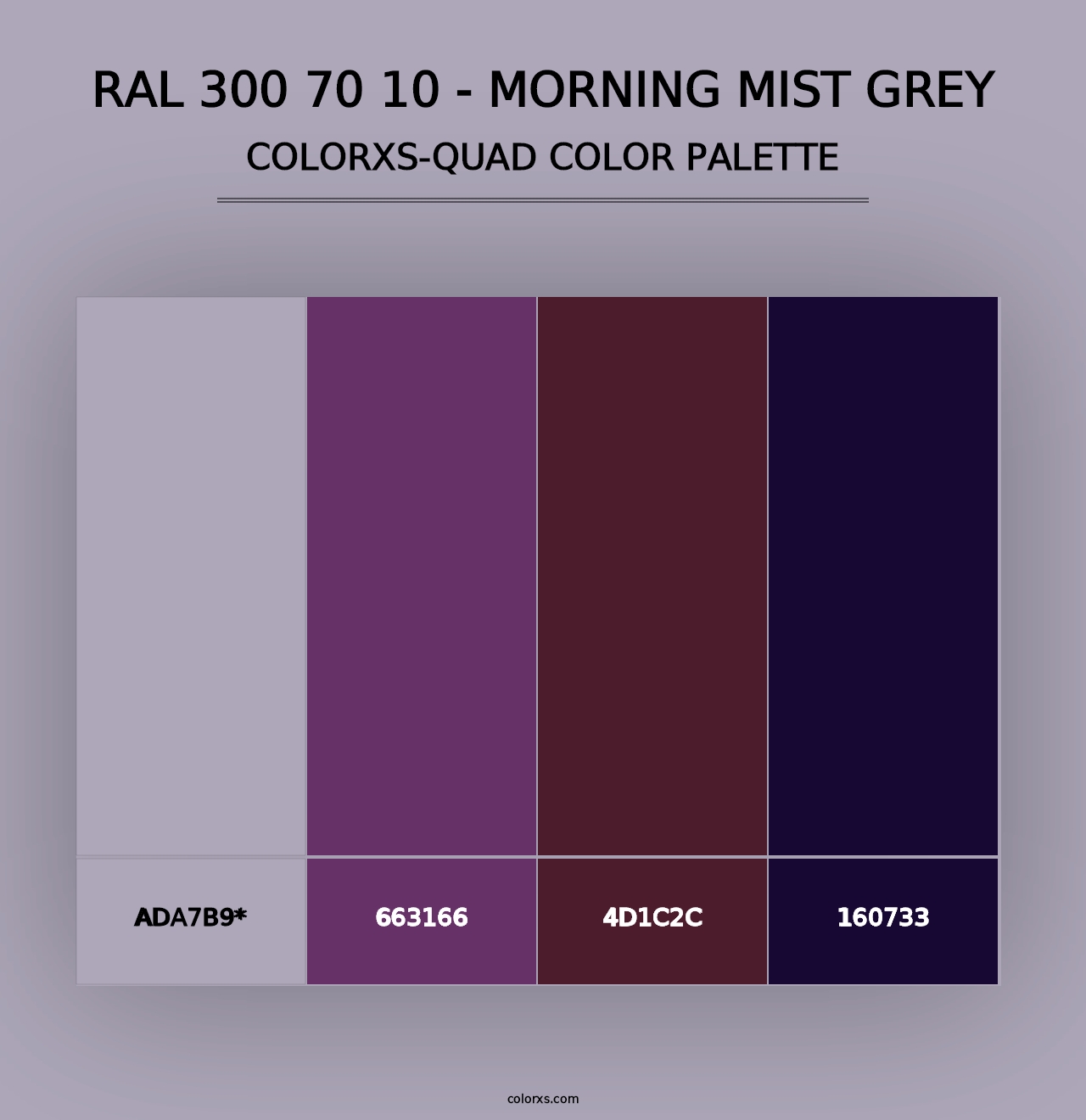 RAL 300 70 10 - Morning Mist Grey - Colorxs Quad Palette