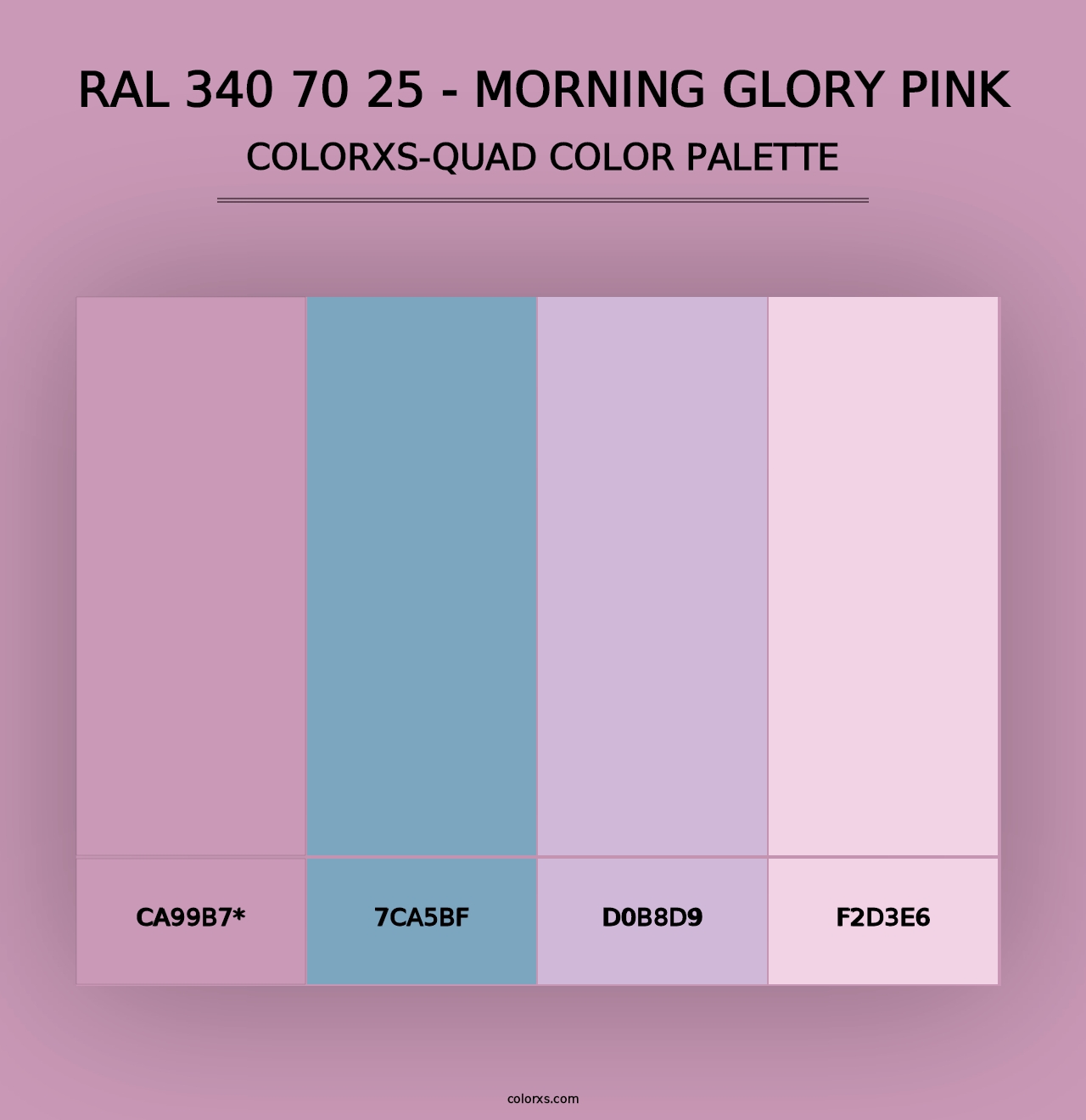 RAL 340 70 25 - Morning Glory Pink - Colorxs Quad Palette