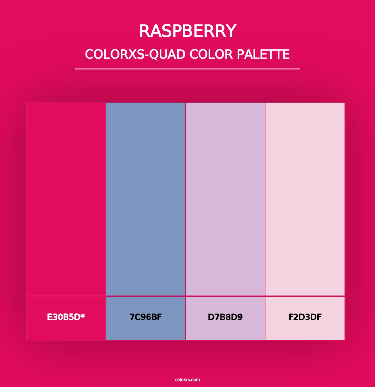 Raspberry - Colorxs Quad Palette