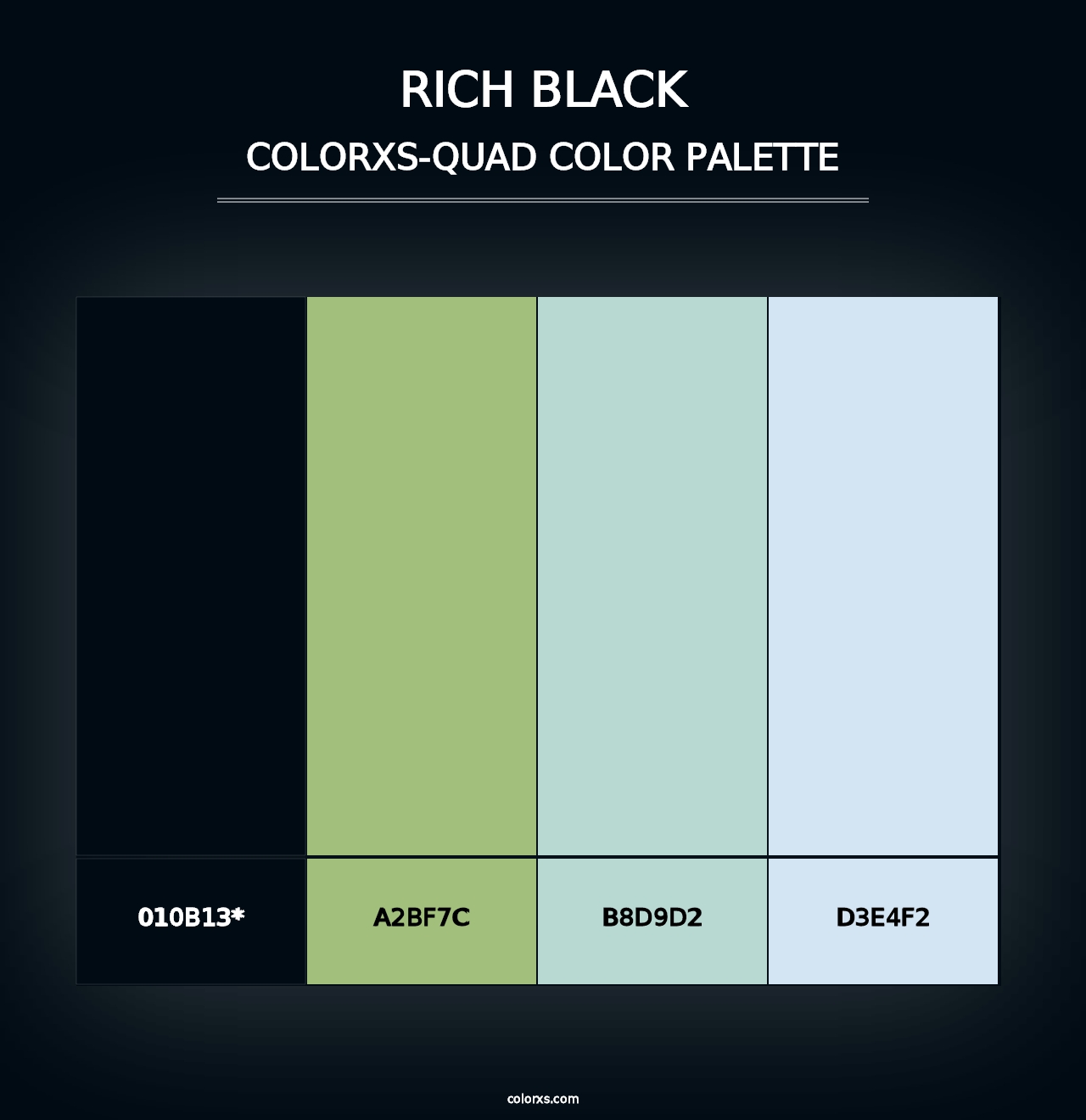 Rich Black - Colorxs Quad Palette