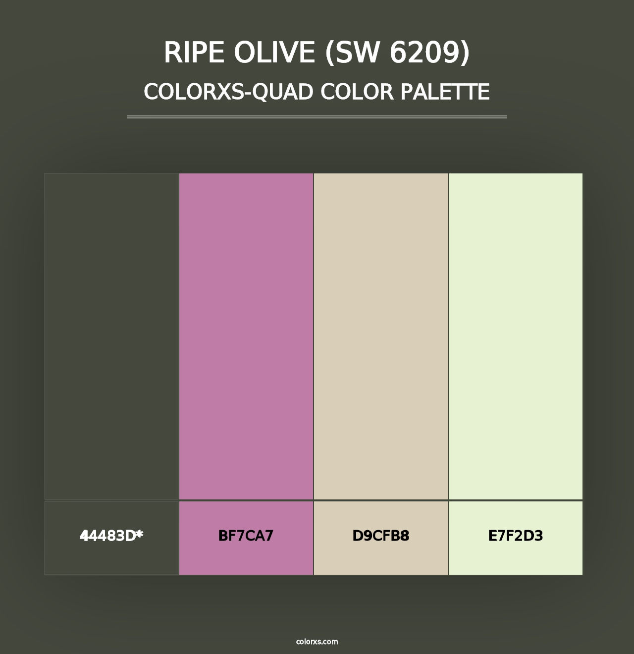 Ripe Olive (SW 6209) - Colorxs Quad Palette