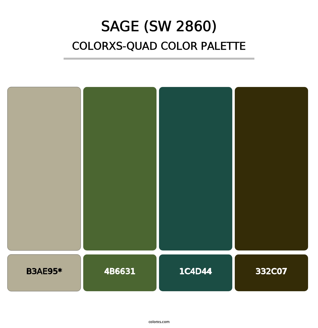 Sage (SW 2860) - Colorxs Quad Palette