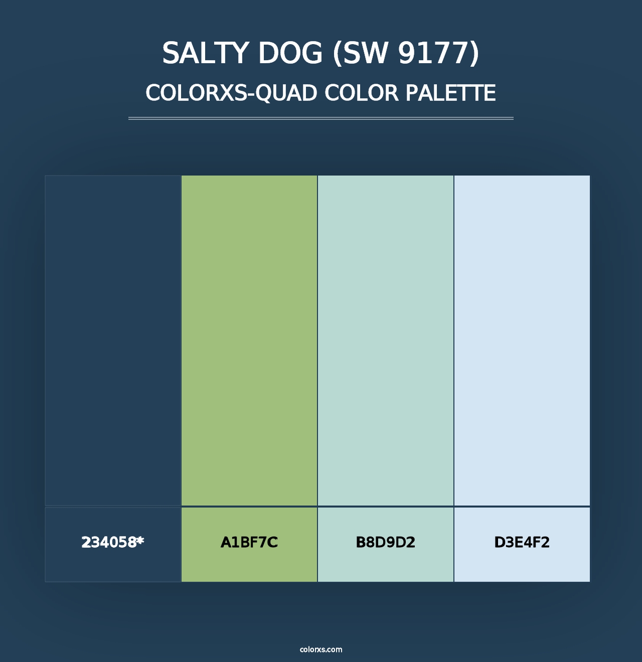 Salty Dog (SW 9177) - Colorxs Quad Palette