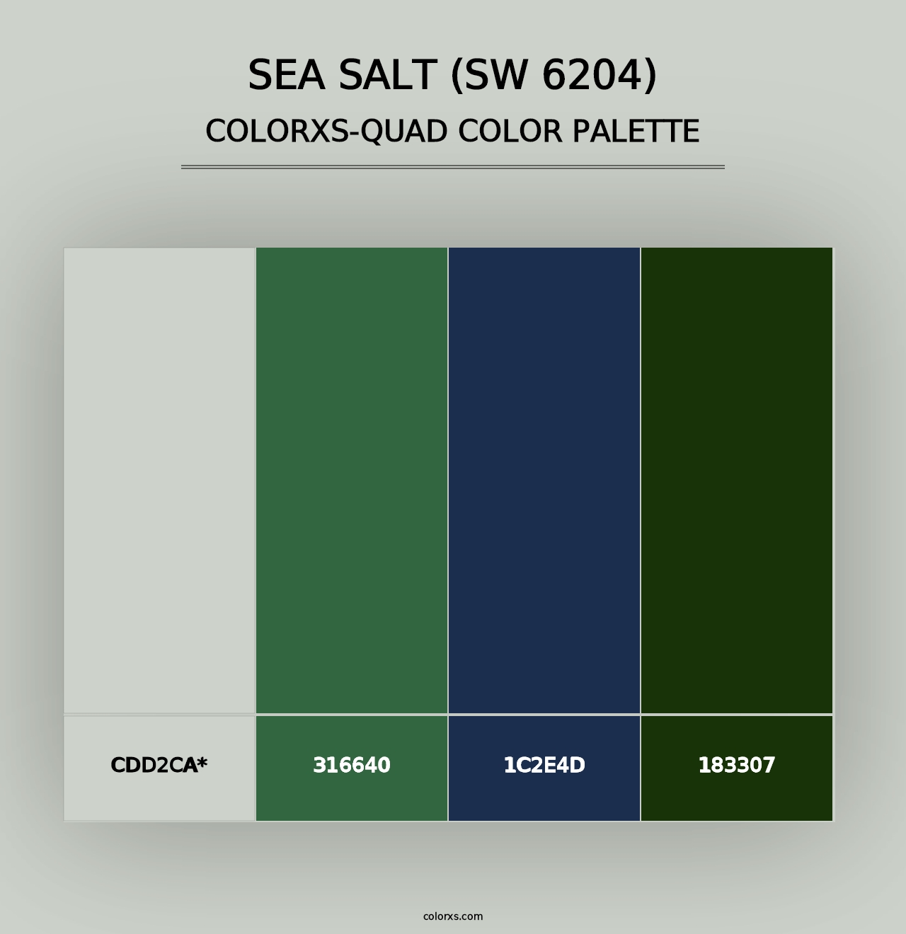 Sea Salt (SW 6204) - Colorxs Quad Palette