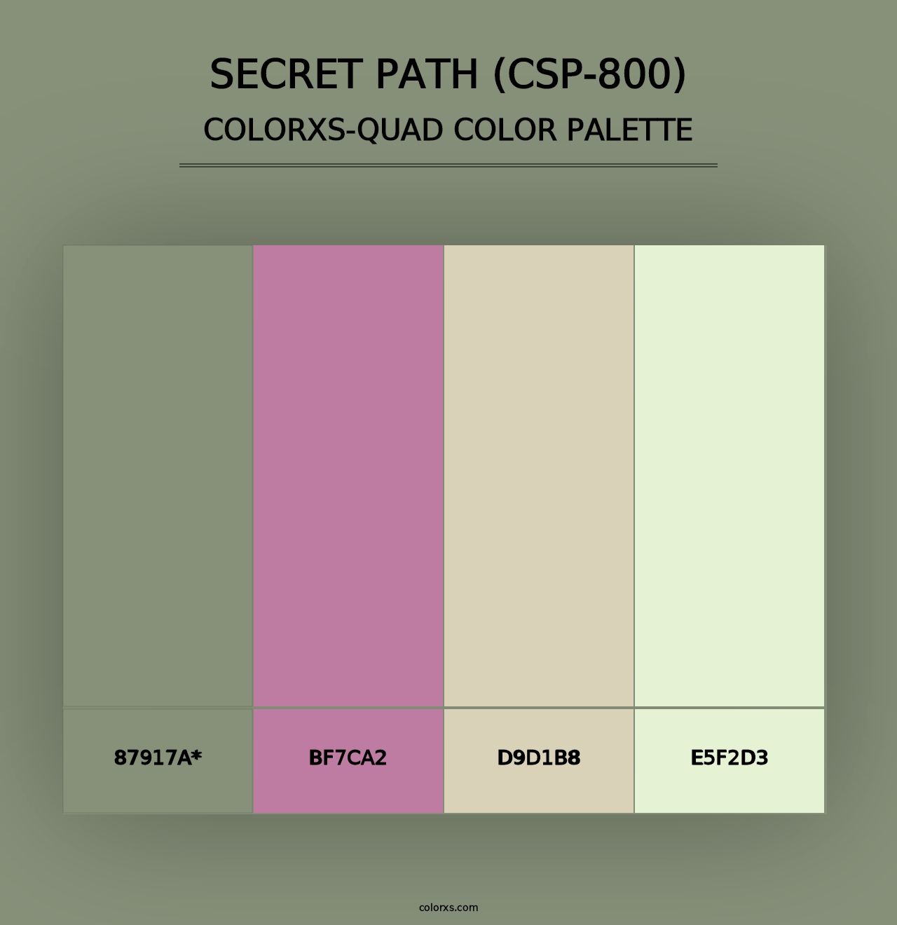 Secret Path (CSP-800) - Colorxs Quad Palette