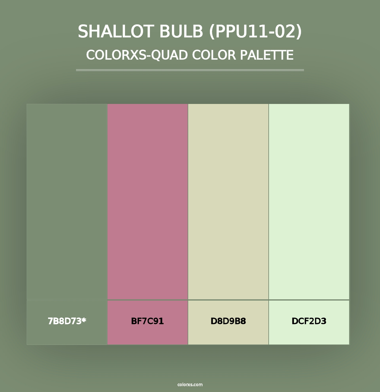 Shallot Bulb (PPU11-02) - Colorxs Quad Palette