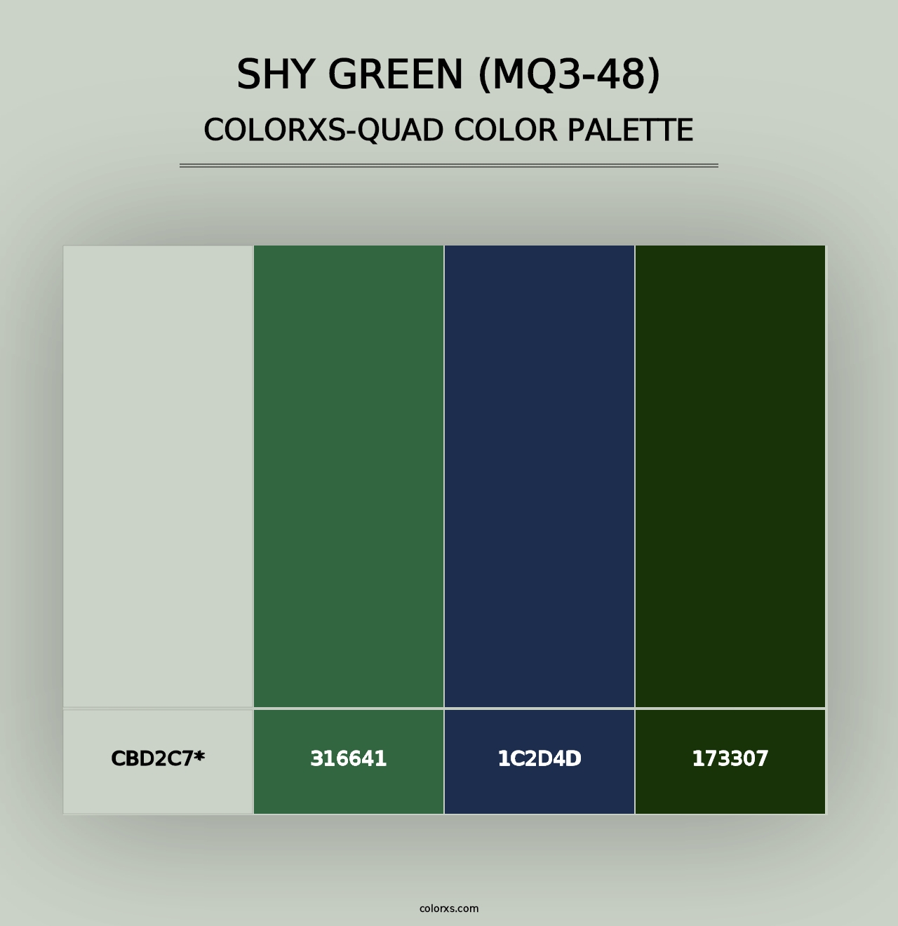 Shy Green (MQ3-48) - Colorxs Quad Palette