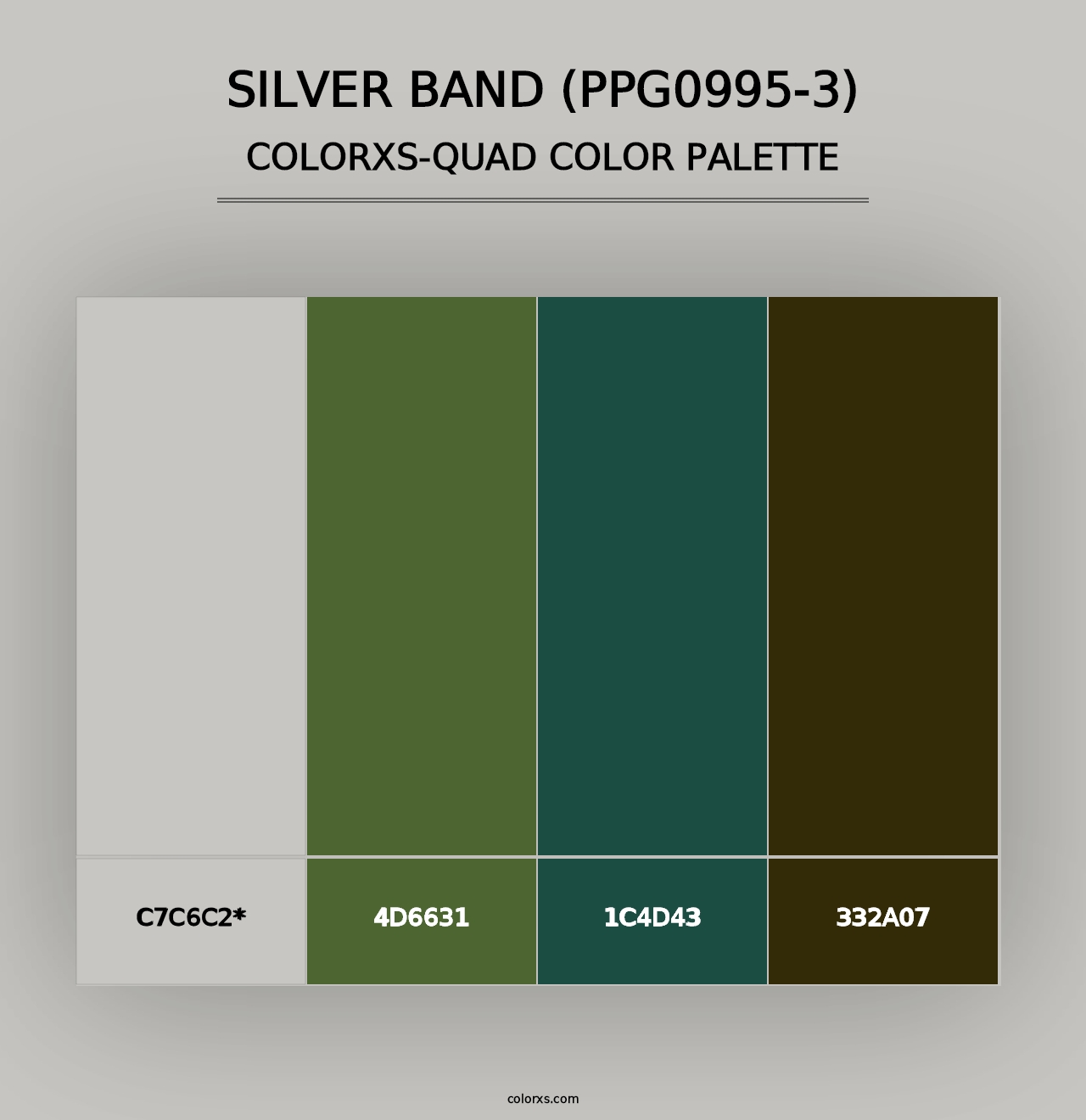 Silver Band (PPG0995-3) - Colorxs Quad Palette