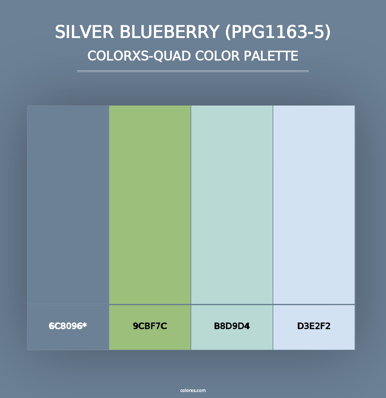 Silver Blueberry (PPG1163-5) - Colorxs Quad Palette