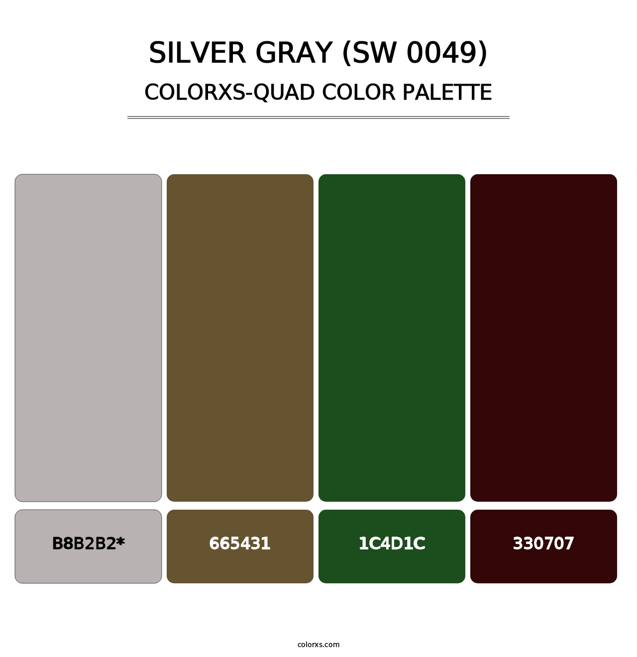 Silver Gray (SW 0049) - Colorxs Quad Palette