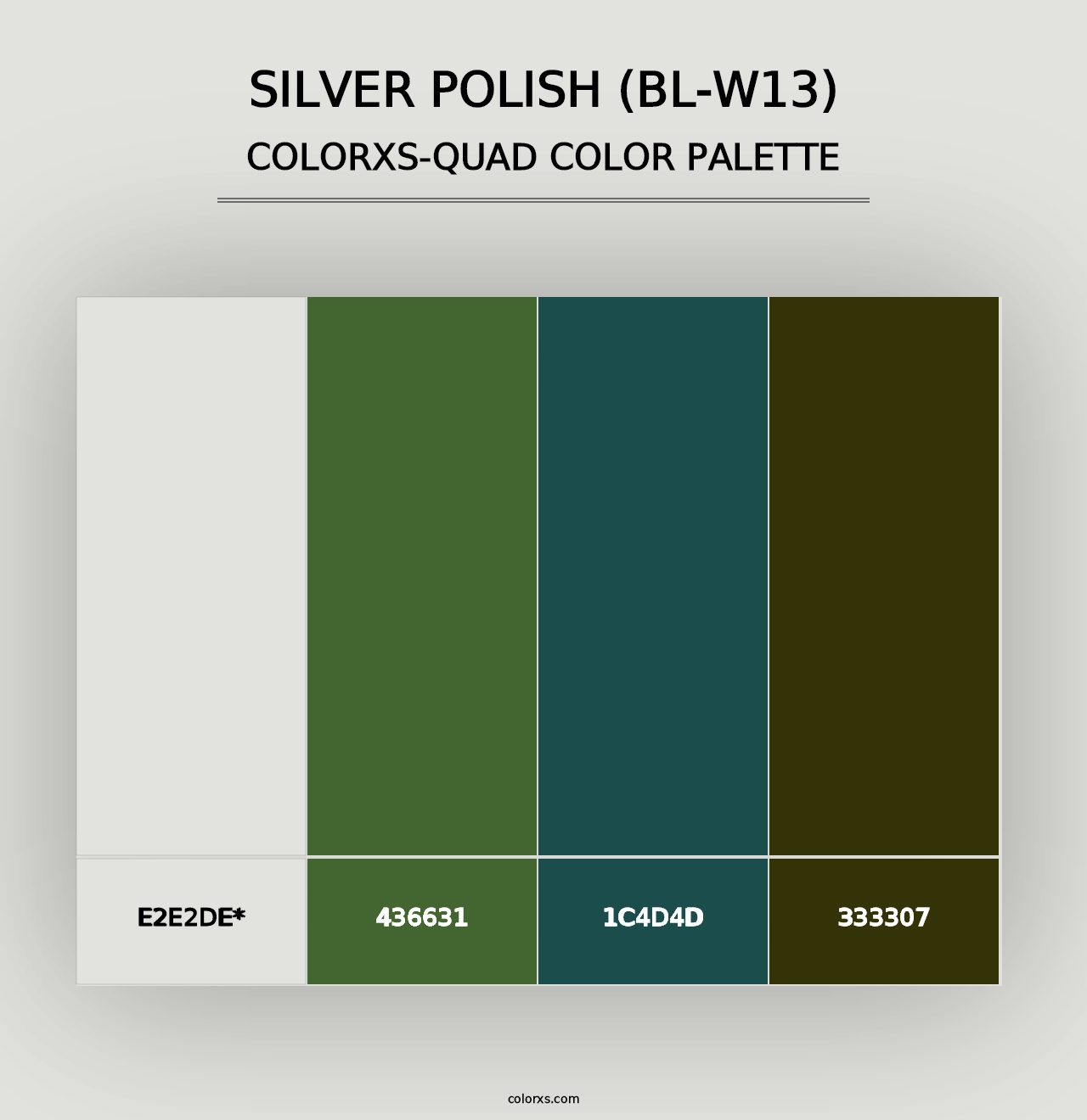 Silver Polish (BL-W13) - Colorxs Quad Palette