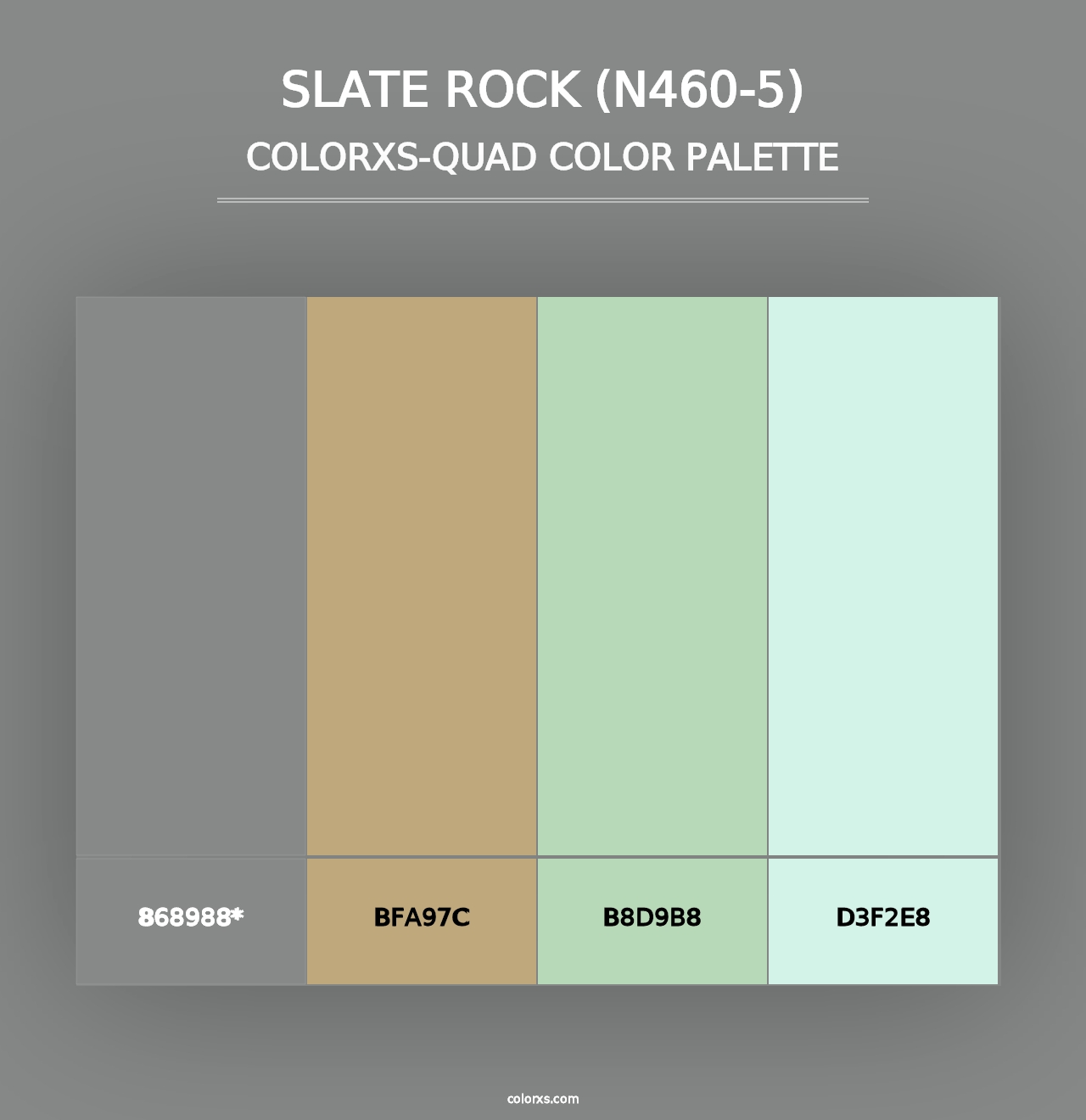 Slate Rock (N460-5) - Colorxs Quad Palette