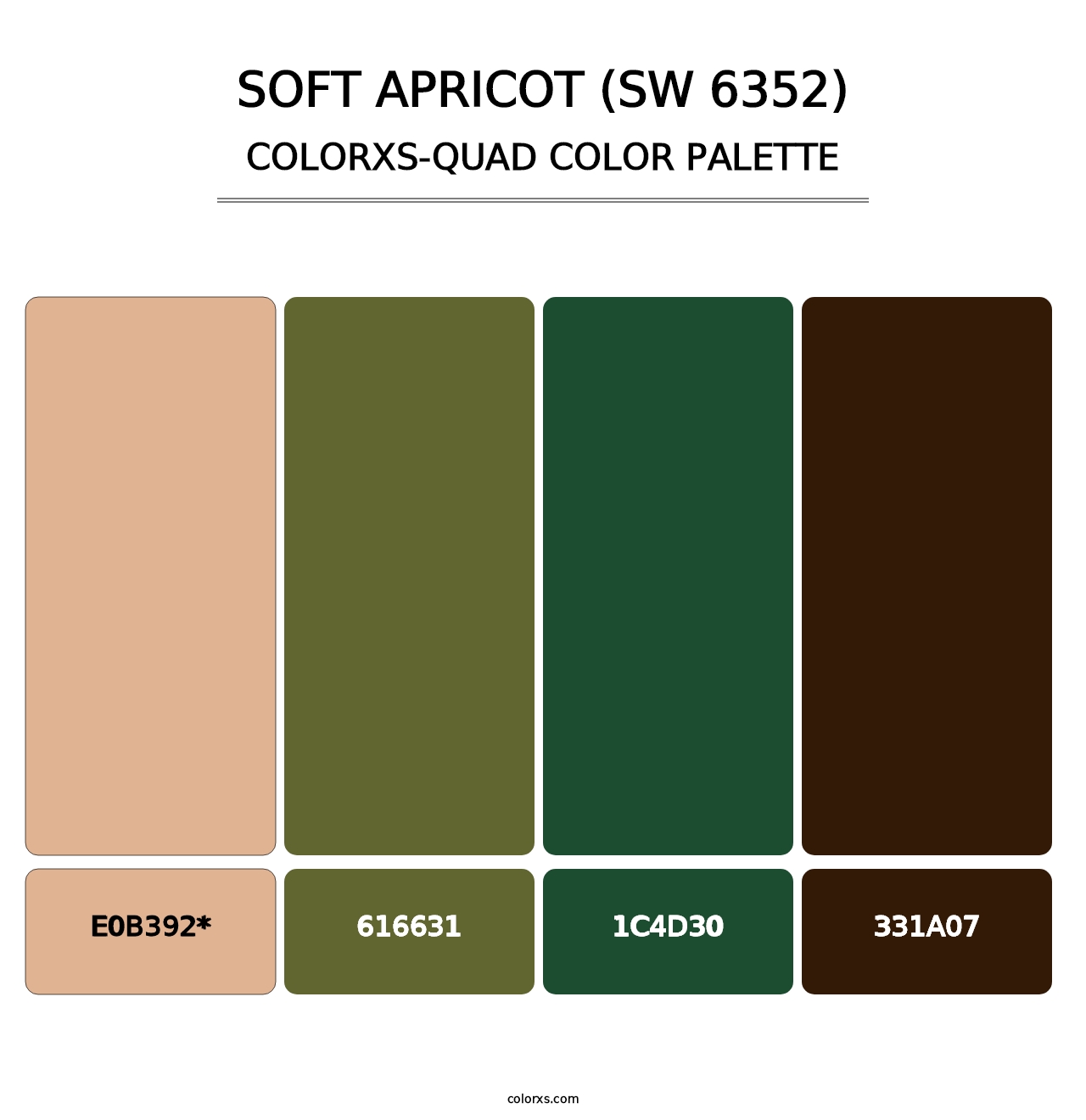 Soft Apricot (SW 6352) - Colorxs Quad Palette