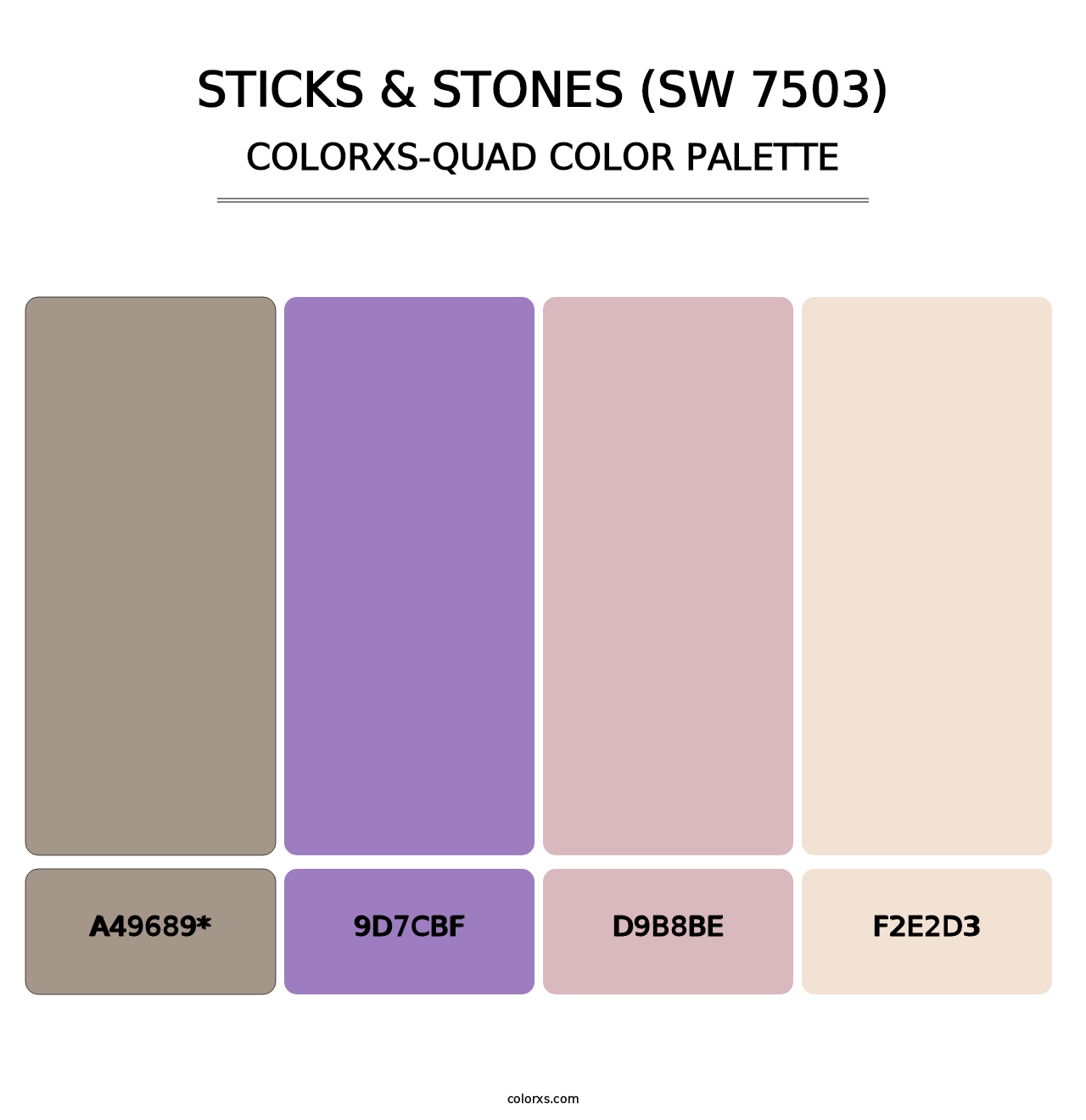 Sticks & Stones (SW 7503) - Colorxs Quad Palette