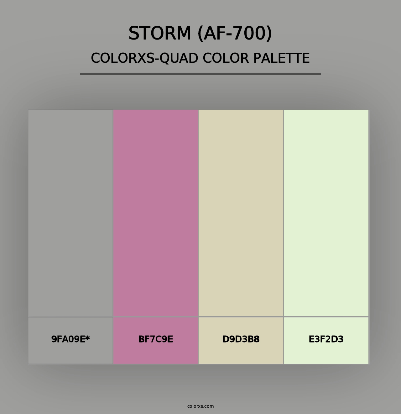 Storm (AF-700) - Colorxs Quad Palette