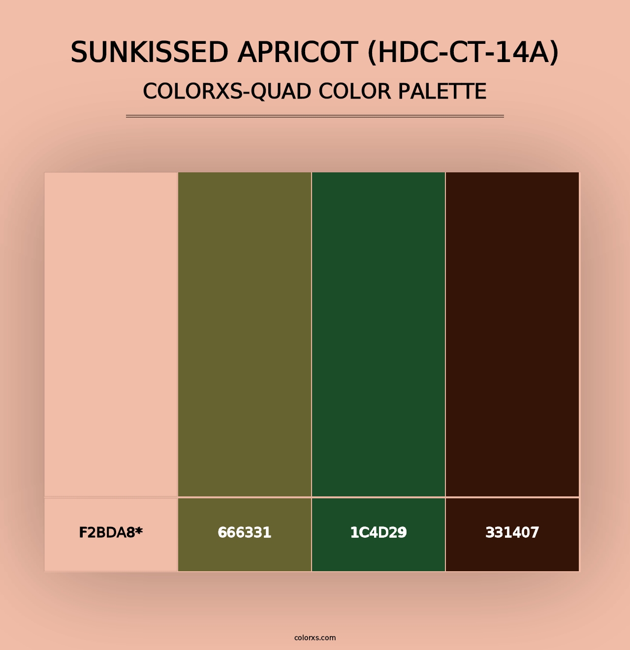 Sunkissed Apricot (HDC-CT-14A) - Colorxs Quad Palette