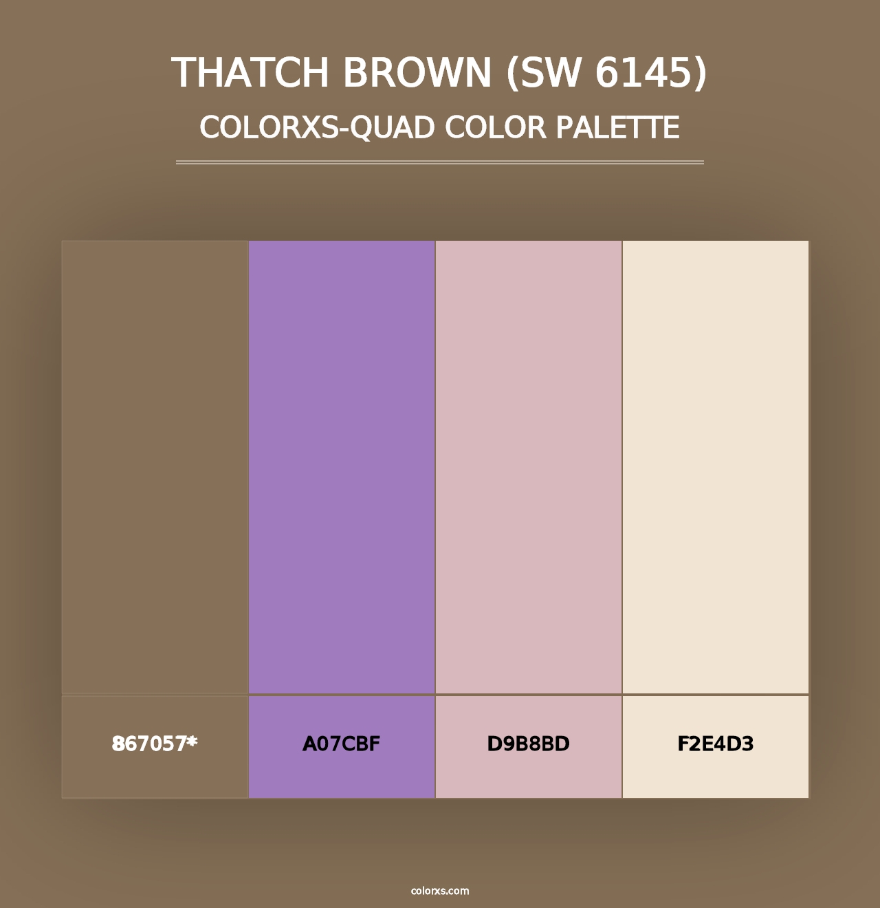 Thatch Brown (SW 6145) - Colorxs Quad Palette