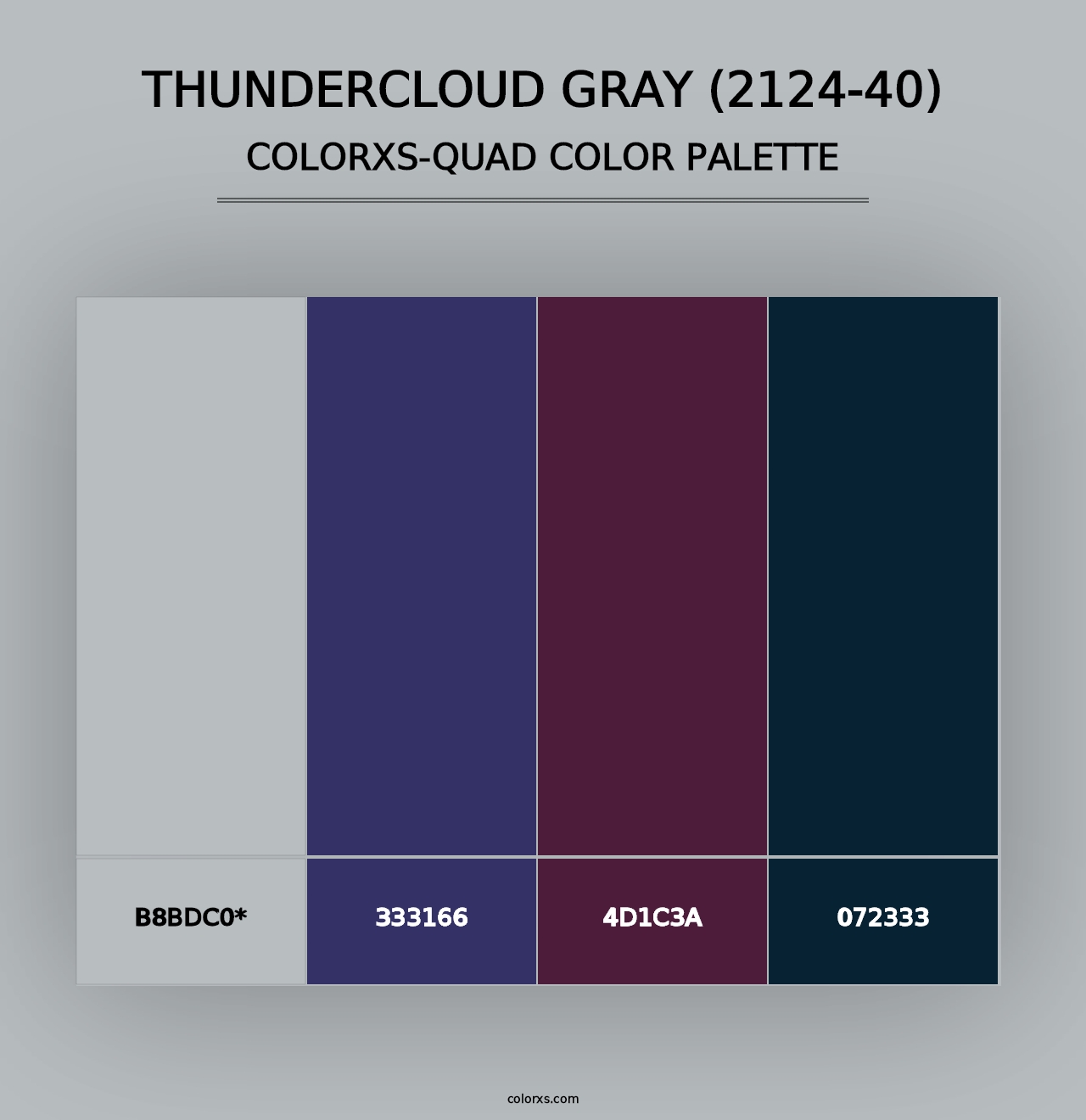 Thundercloud Gray (2124-40) - Colorxs Quad Palette