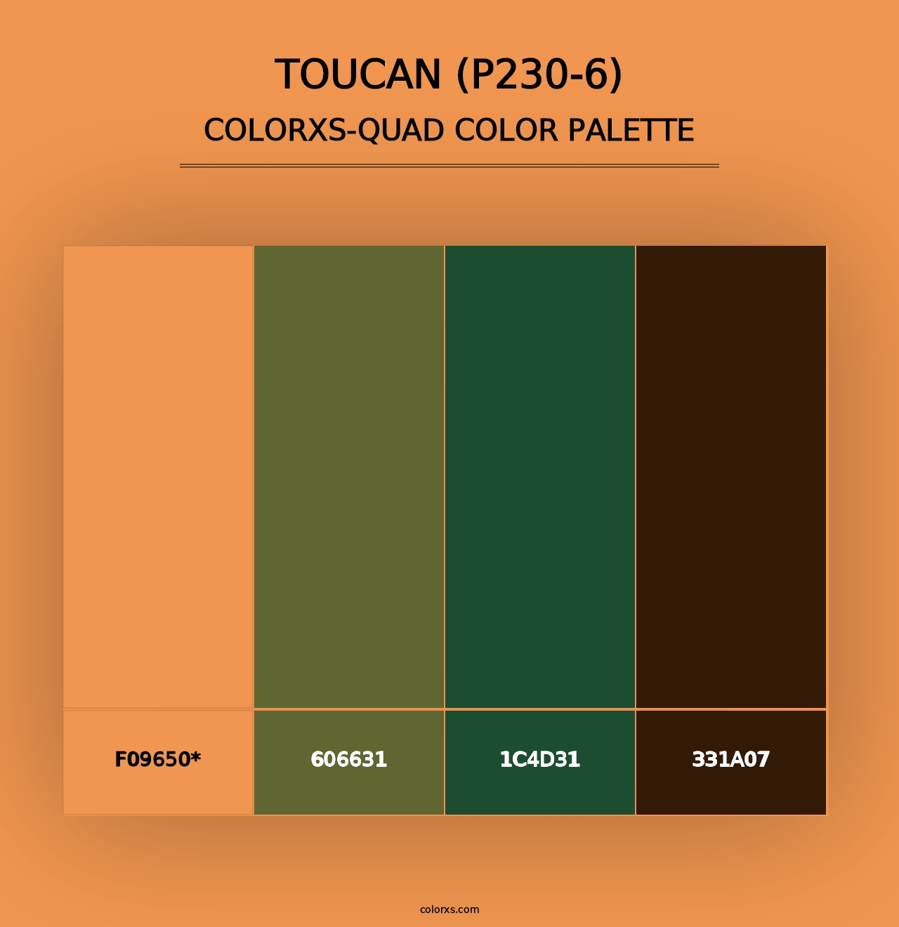 Toucan (P230-6) - Colorxs Quad Palette