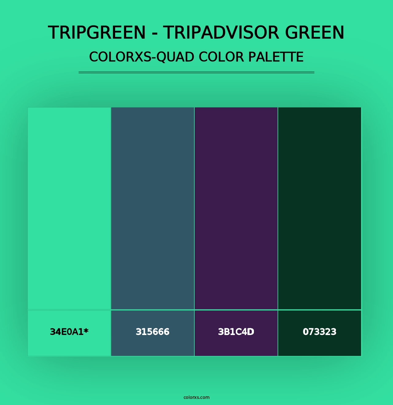 TripGreen - Tripadvisor Green - Colorxs Quad Palette