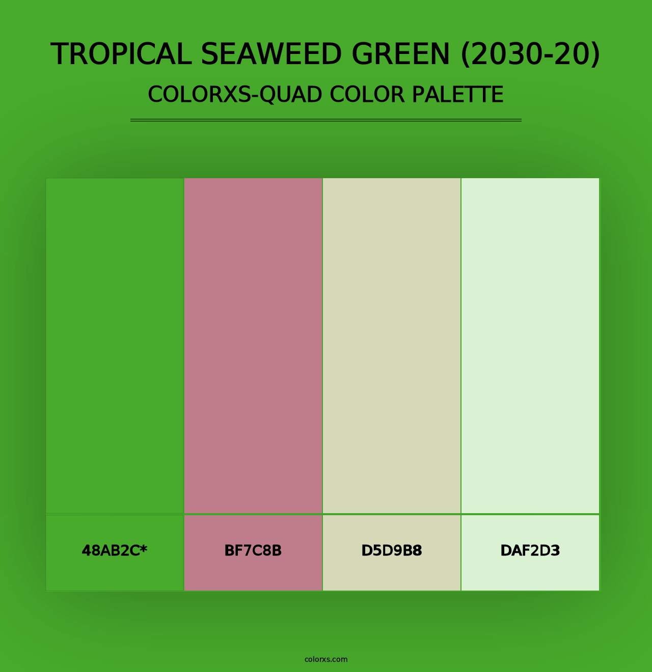 Tropical Seaweed Green (2030-20) - Colorxs Quad Palette