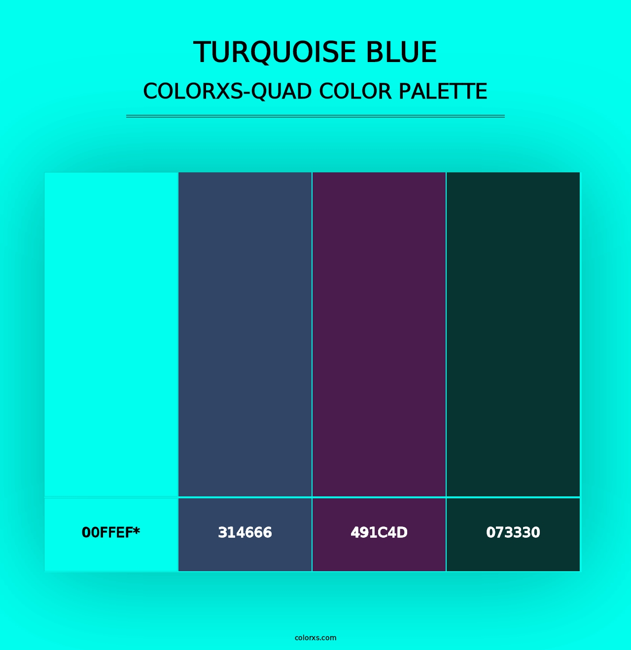 Turquoise Blue - Colorxs Quad Palette