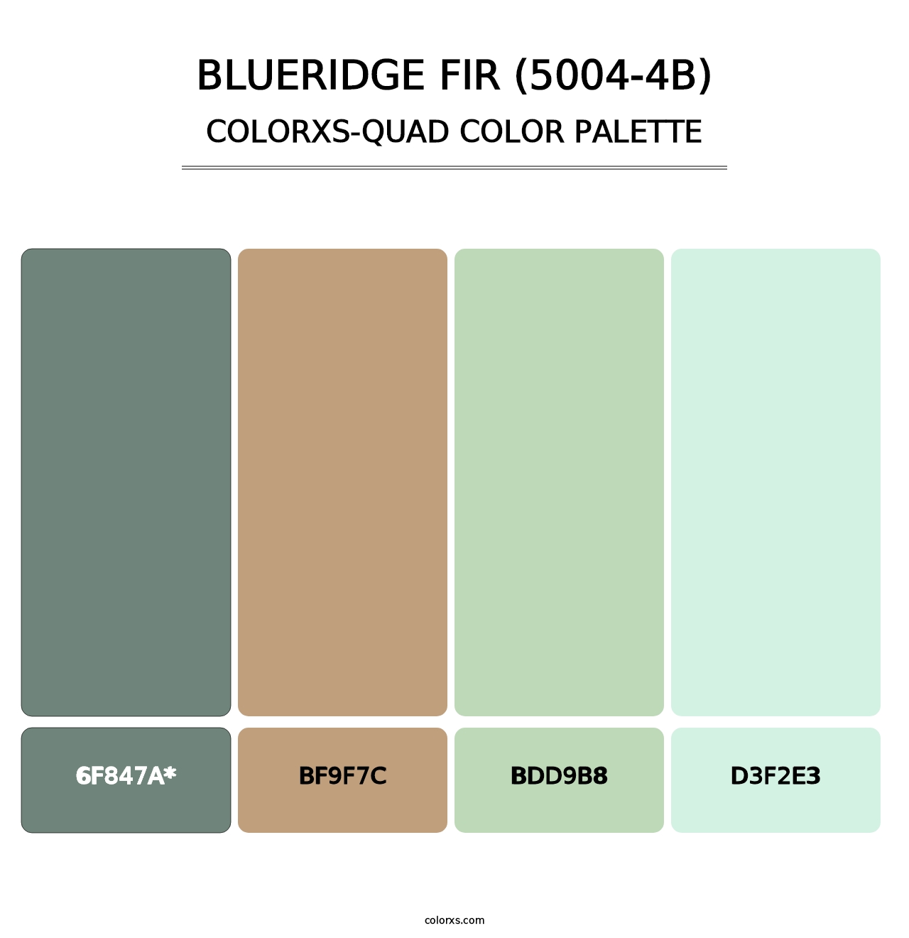 Blueridge Fir (5004-4B) - Colorxs Quad Palette