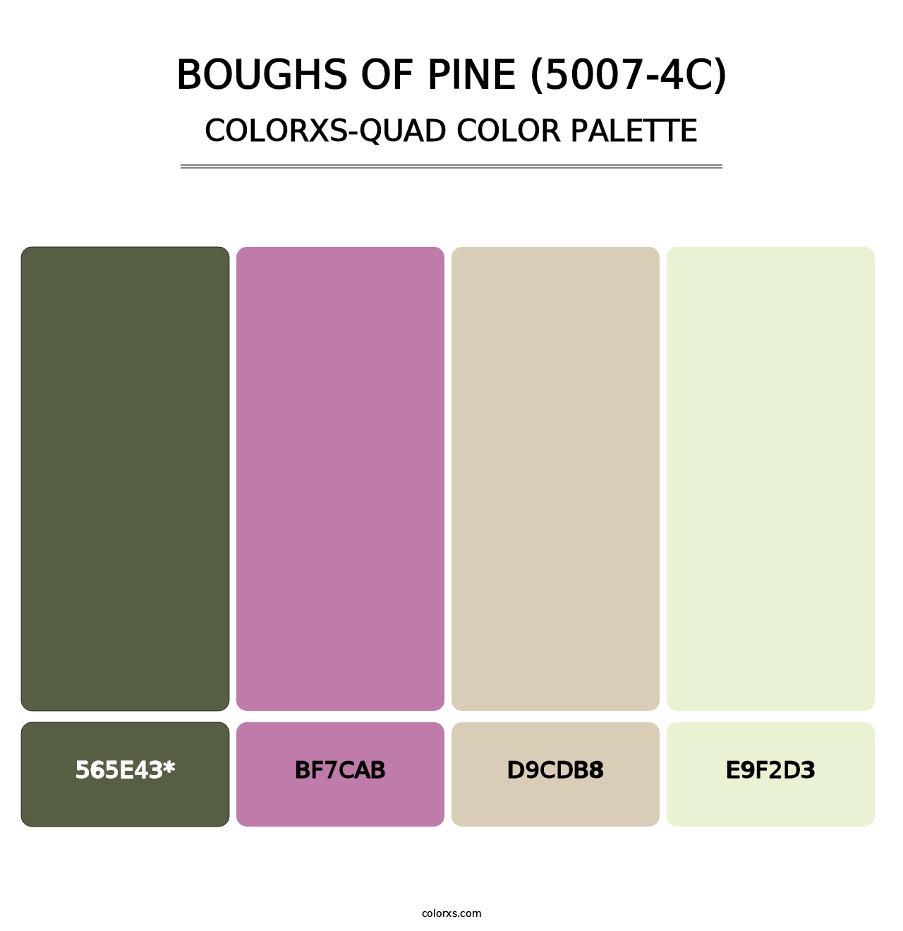 Boughs of Pine (5007-4C) - Colorxs Quad Palette