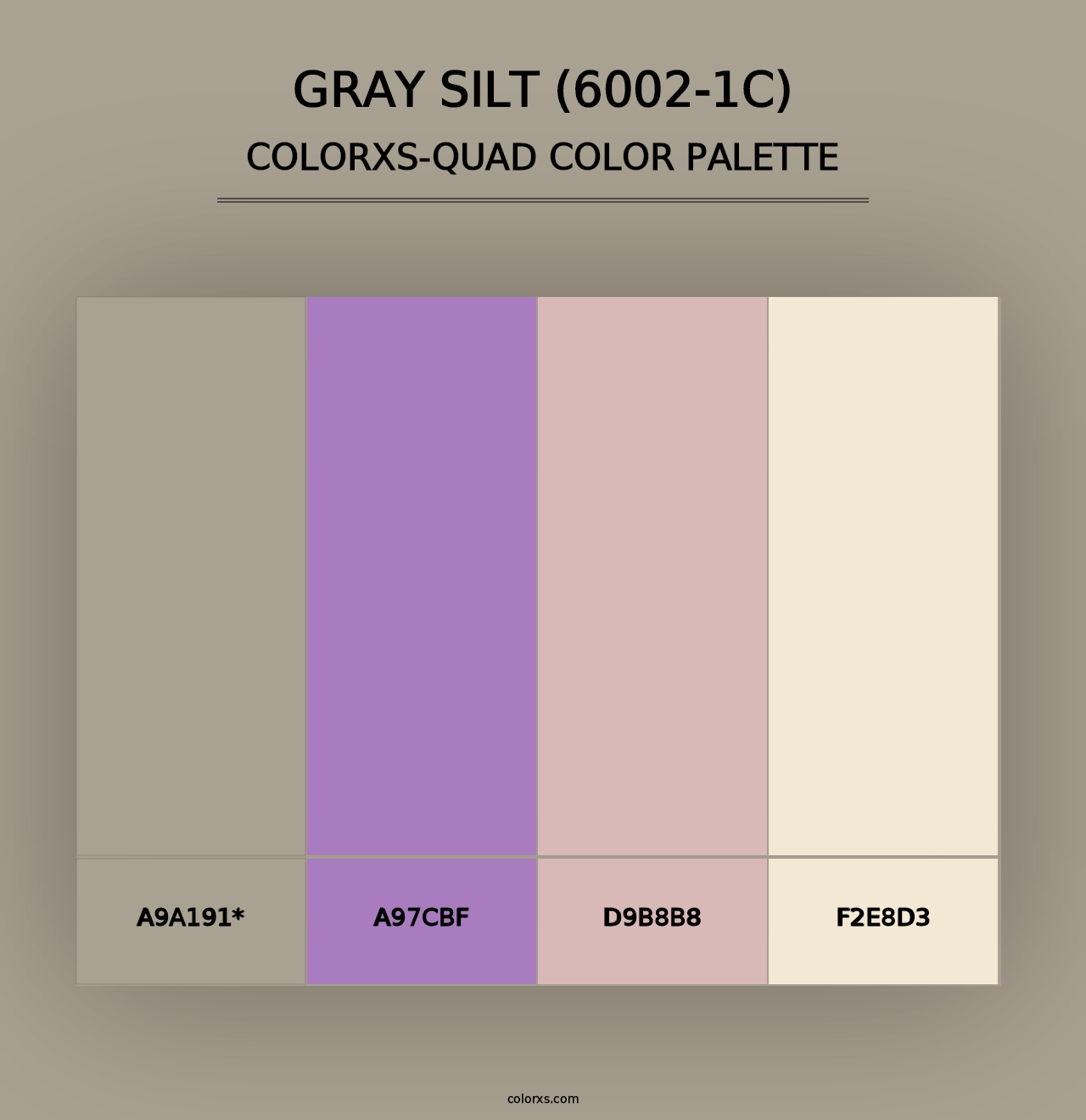 Gray Silt (6002-1C) - Colorxs Quad Palette