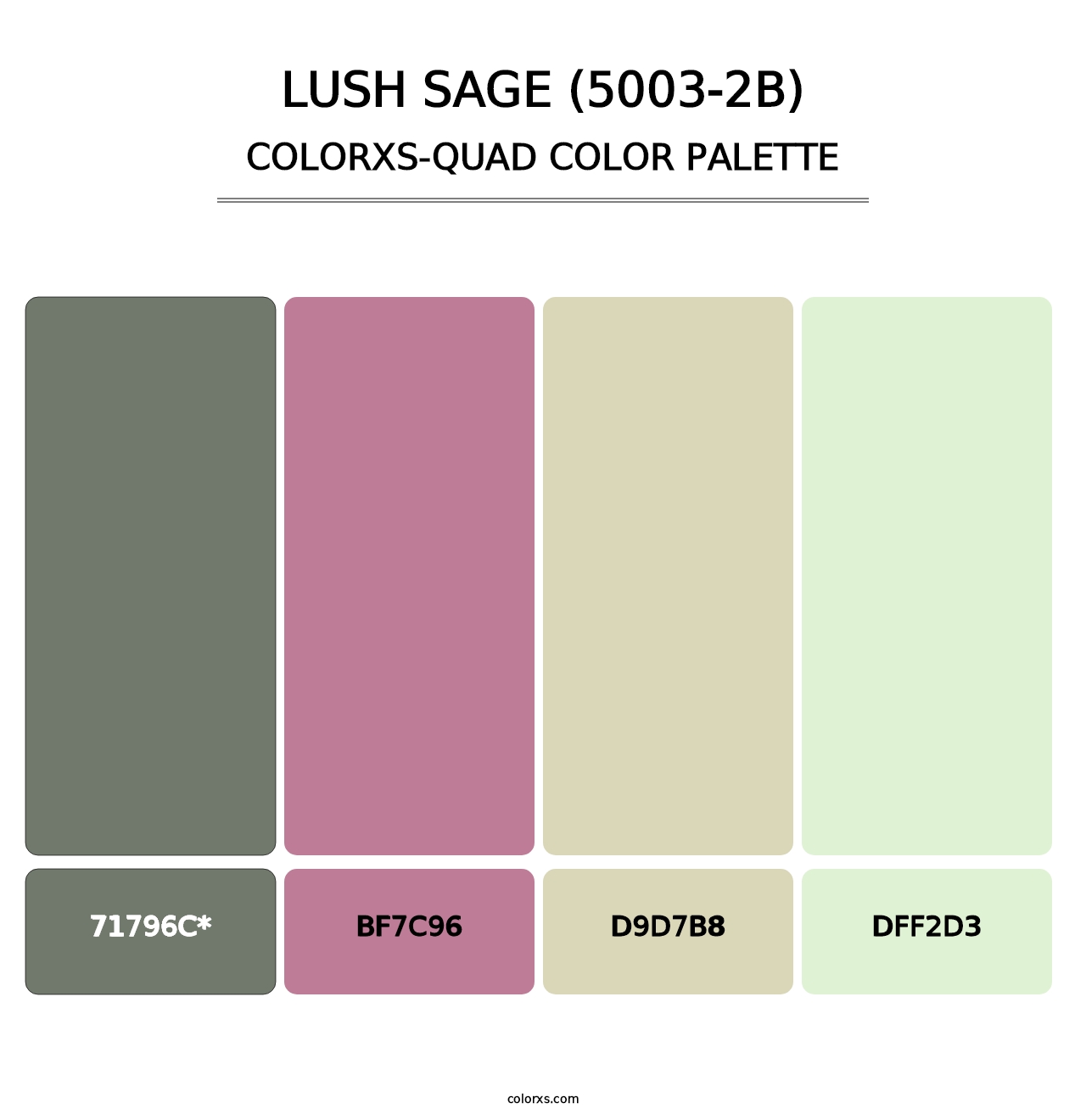 Lush Sage (5003-2B) - Colorxs Quad Palette