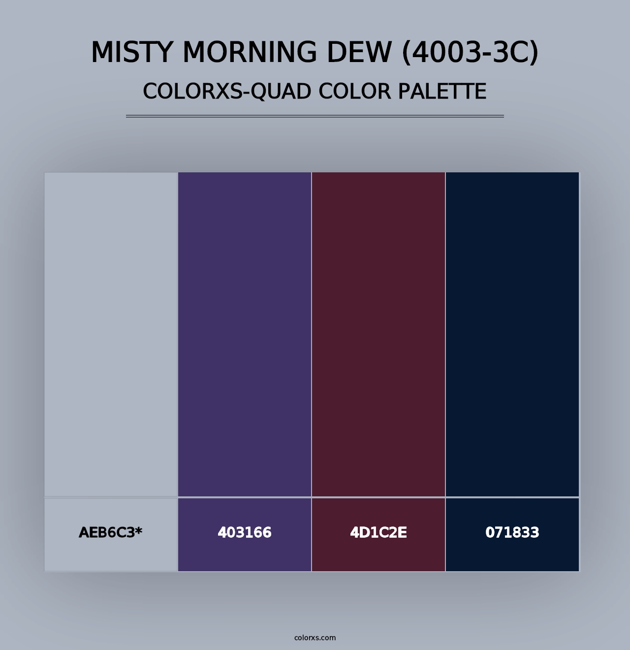 Misty Morning Dew (4003-3C) - Colorxs Quad Palette