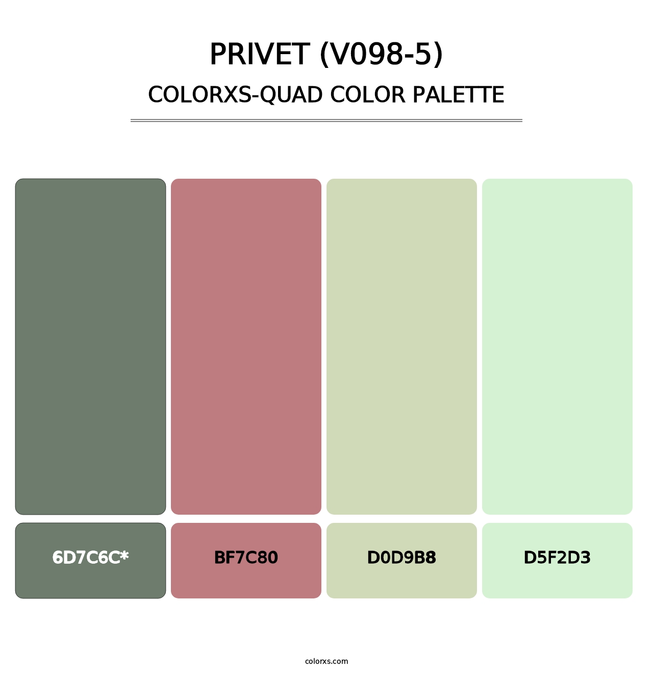 Privet (V098-5) - Colorxs Quad Palette