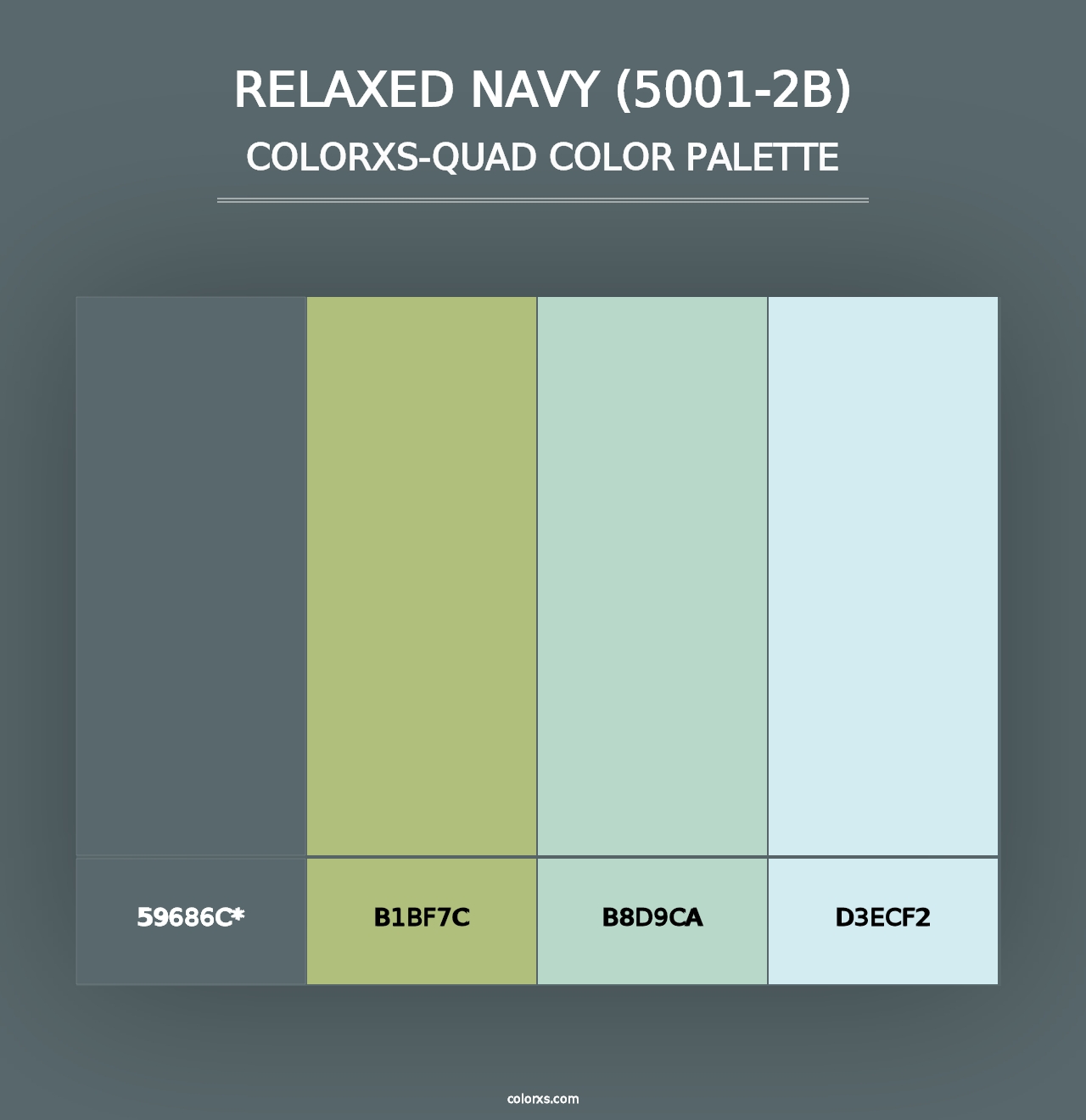 Relaxed Navy (5001-2B) - Colorxs Quad Palette