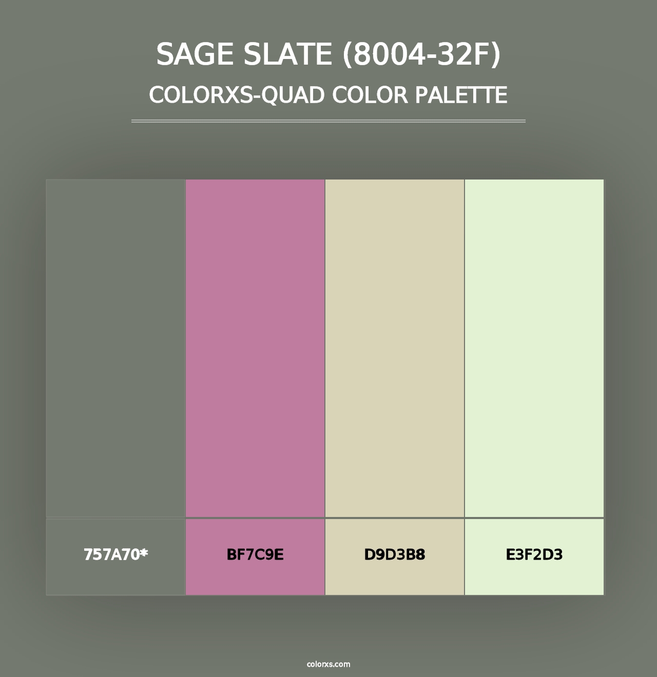 Sage Slate (8004-32F) - Colorxs Quad Palette