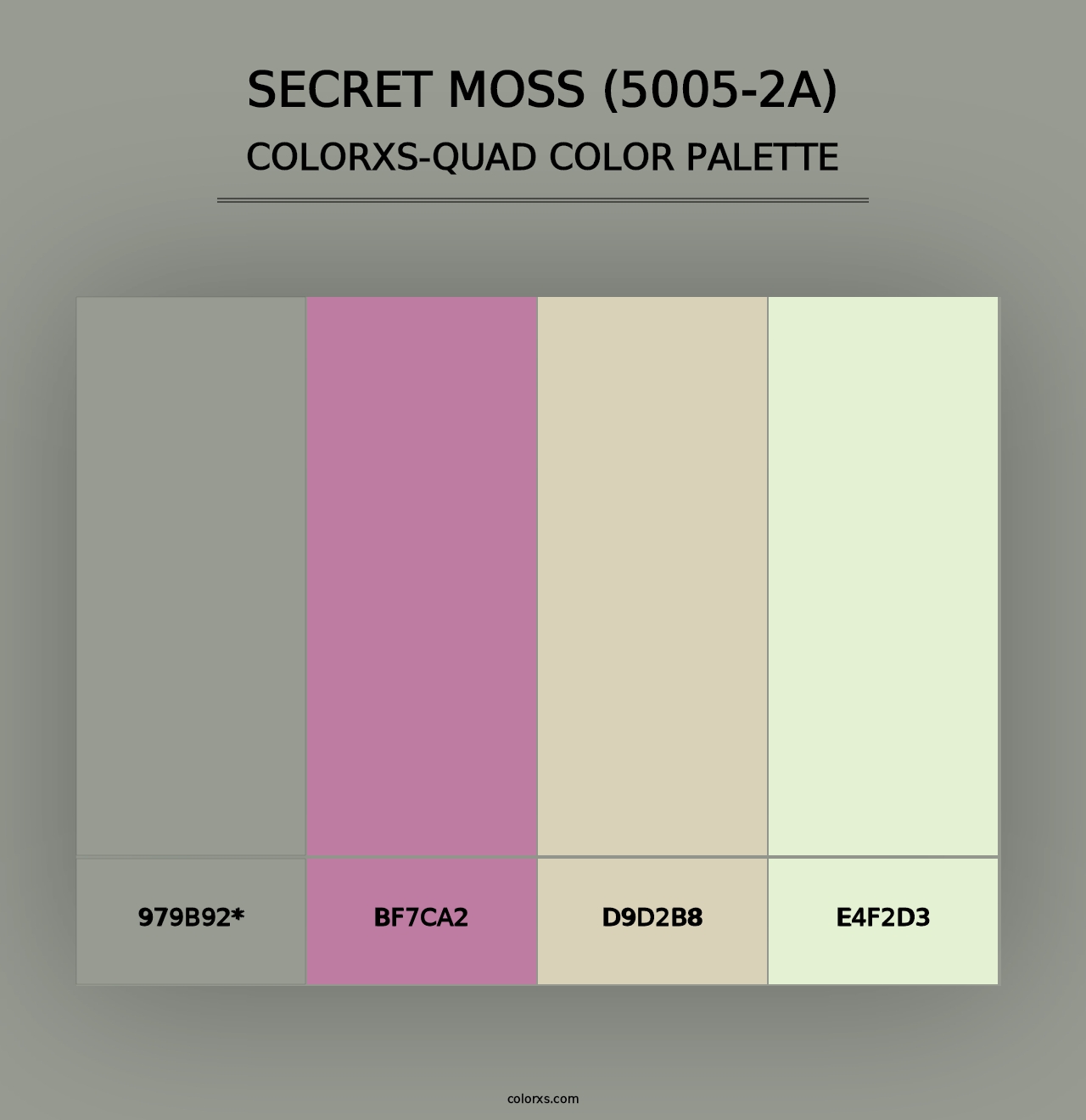 Secret Moss (5005-2A) - Colorxs Quad Palette