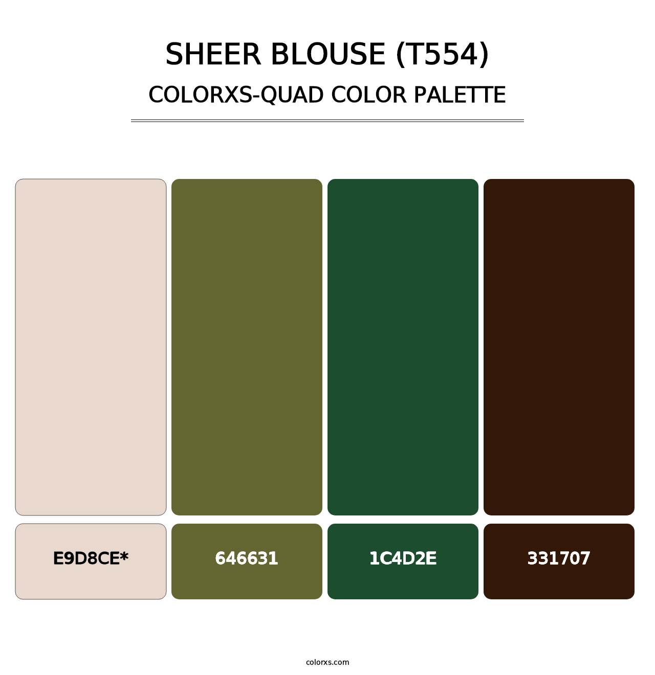 Sheer Blouse (T554) - Colorxs Quad Palette