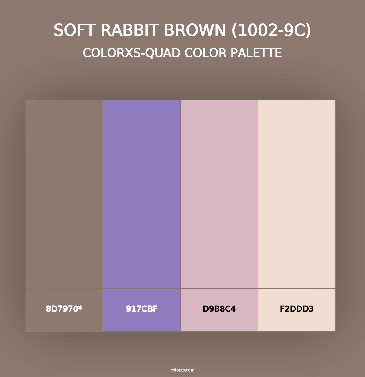 Soft Rabbit Brown (1002-9C) - Colorxs Quad Palette