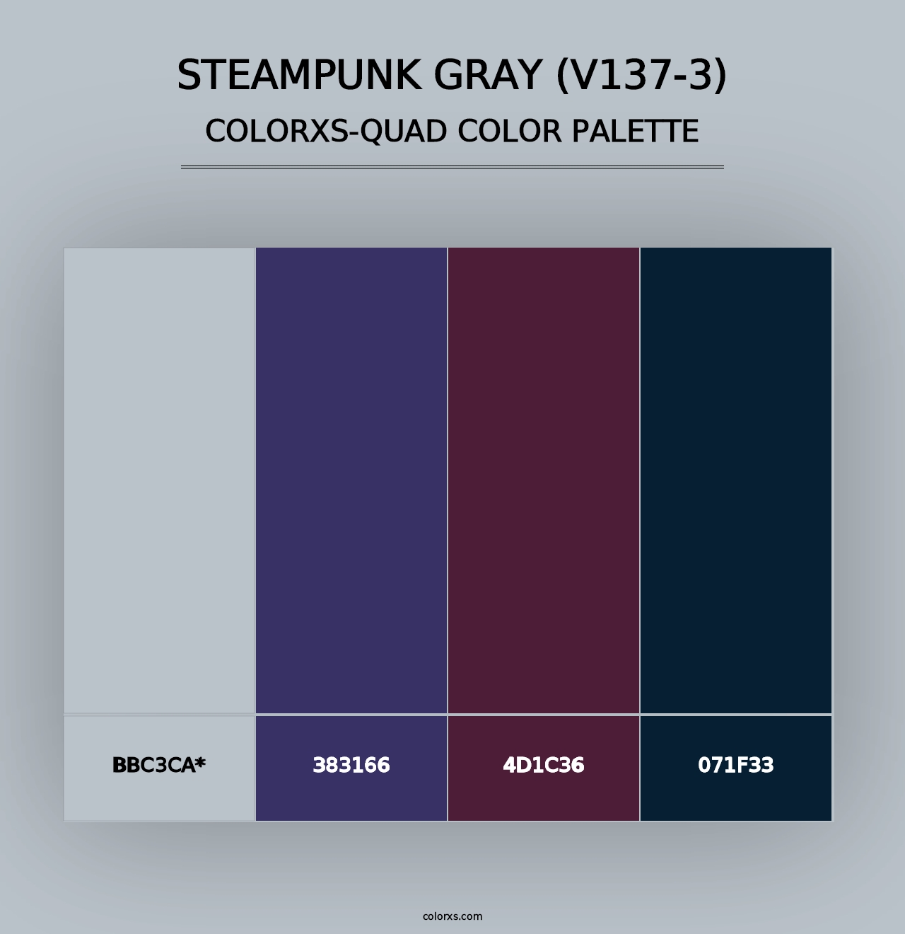 Steampunk Gray (V137-3) - Colorxs Quad Palette