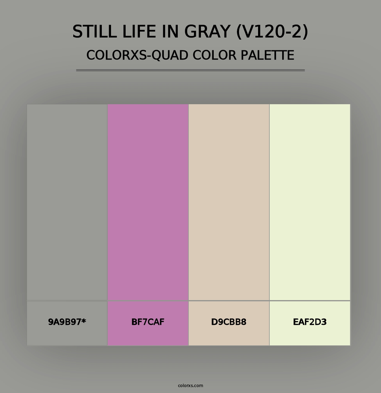 Still Life in Gray (V120-2) - Colorxs Quad Palette